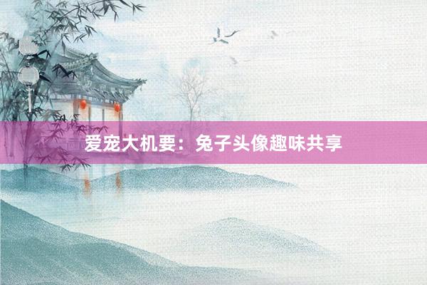 爱宠大机要：兔子头像趣味共享